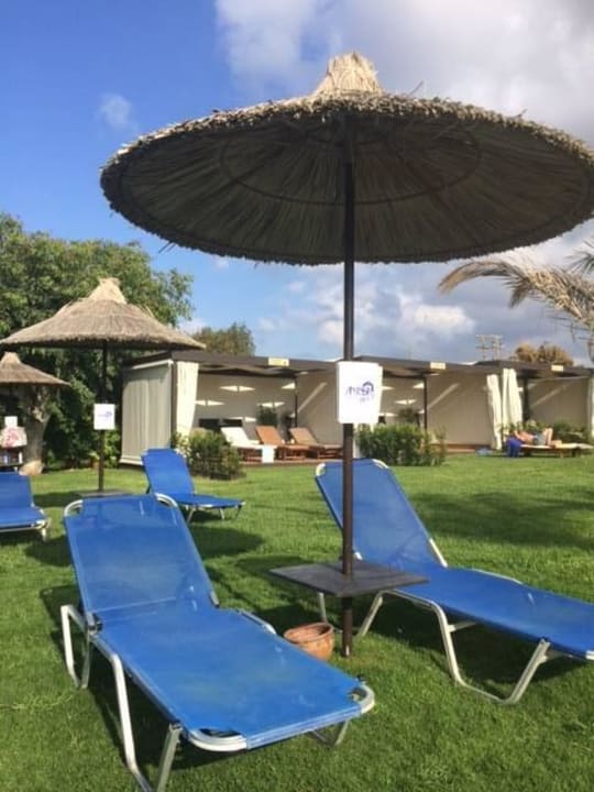 Liegebereich am Pool  Anissa Beach & Village