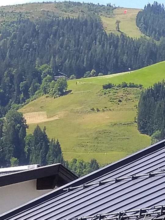 Ausblick Kitzalphouse Apartments