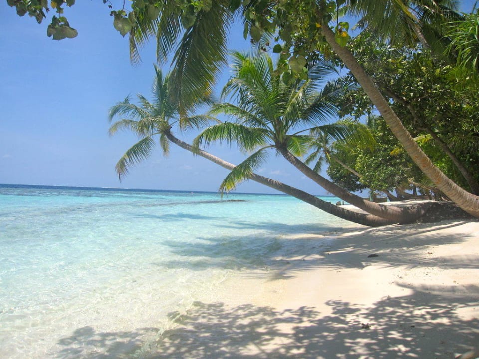 Ein Träumchen Vilamendhoo Island Resort & Spa