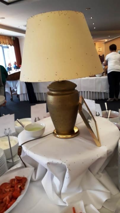 Gastro Cliff Hotel Rügen