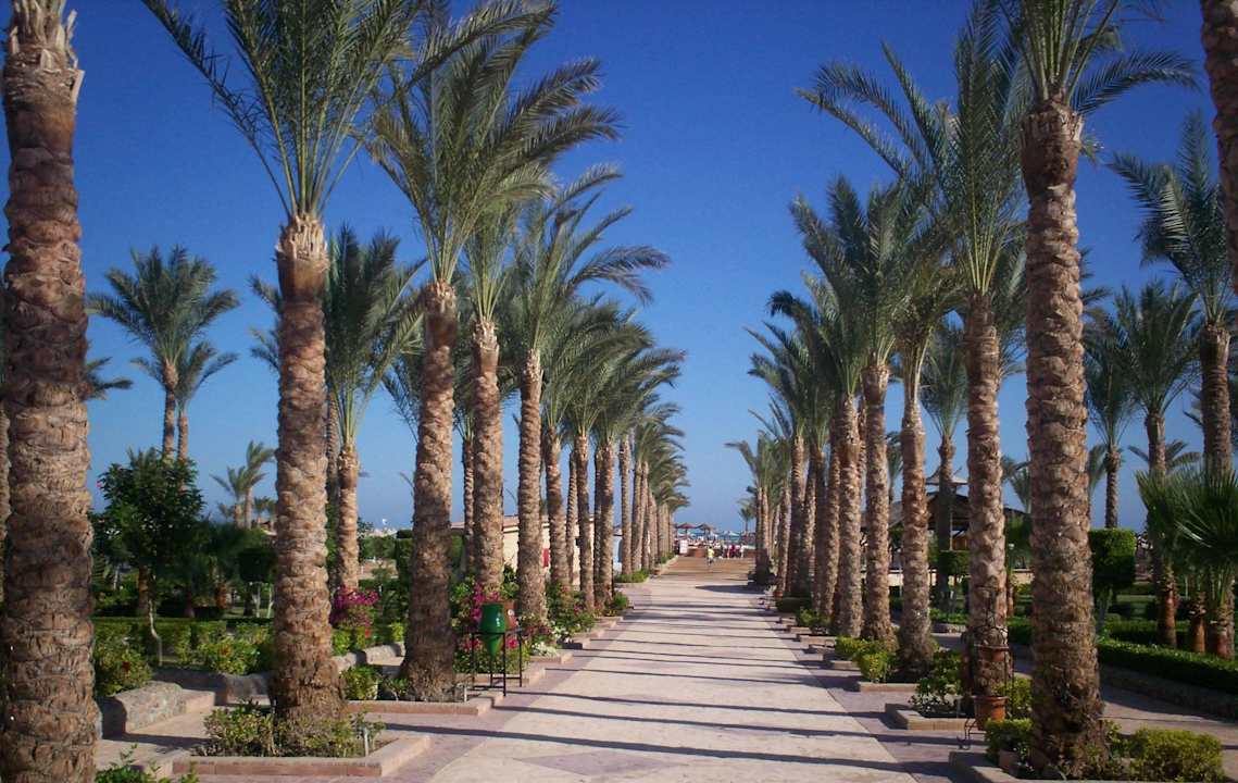 Аллея Riviera Aqua Park Resort