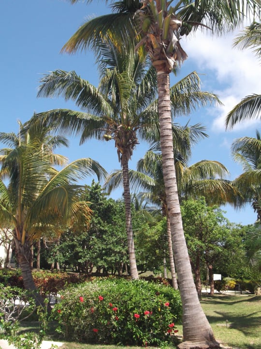 Garten Muthu Playa Varadero