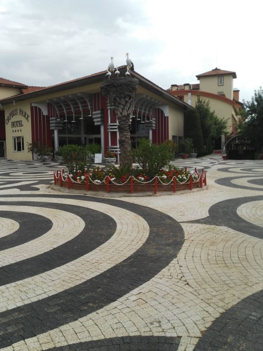 Toll Hotel Orfeus Park