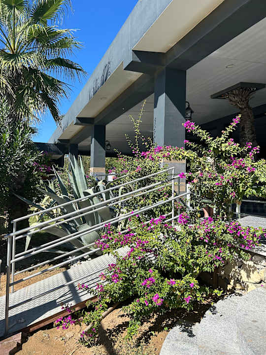 Strand Dream World Palace Hotel