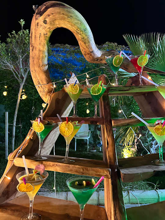 Gastro Dream Water World