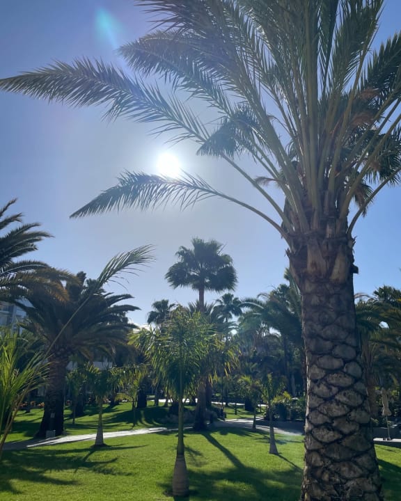 Gartenanlage Hotel Riu Gran Canaria