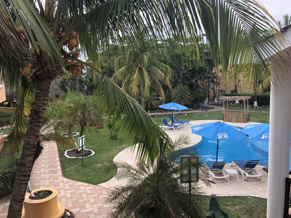 Pool Hotel Cayman Suites