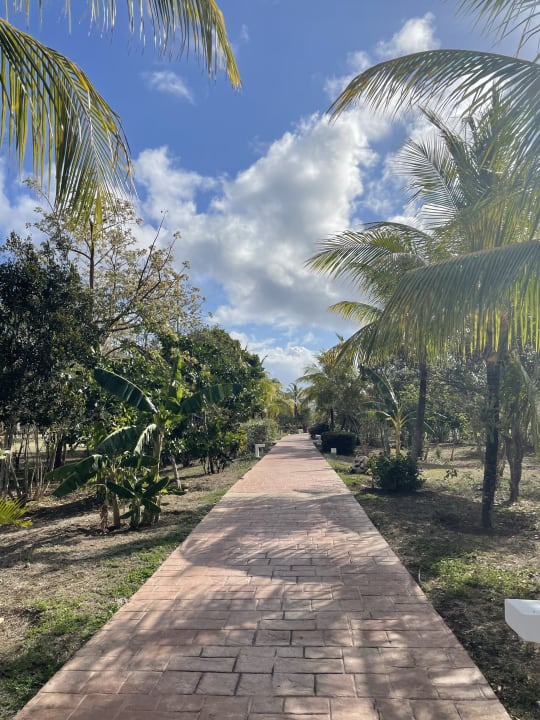 Gartenanlage Iberostar Coral Holguín