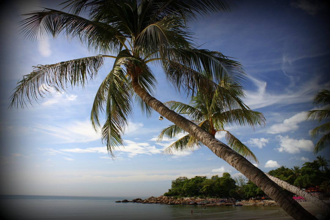 Palmen Samui Paradise Chaweng Beach Resort & Spa