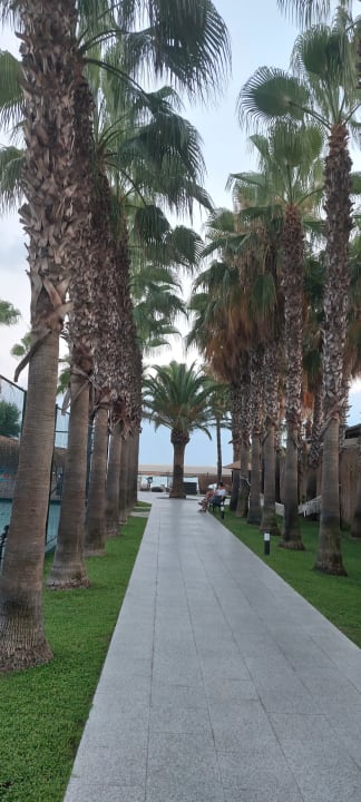 Gartenanlage Miramare Queen Hotel