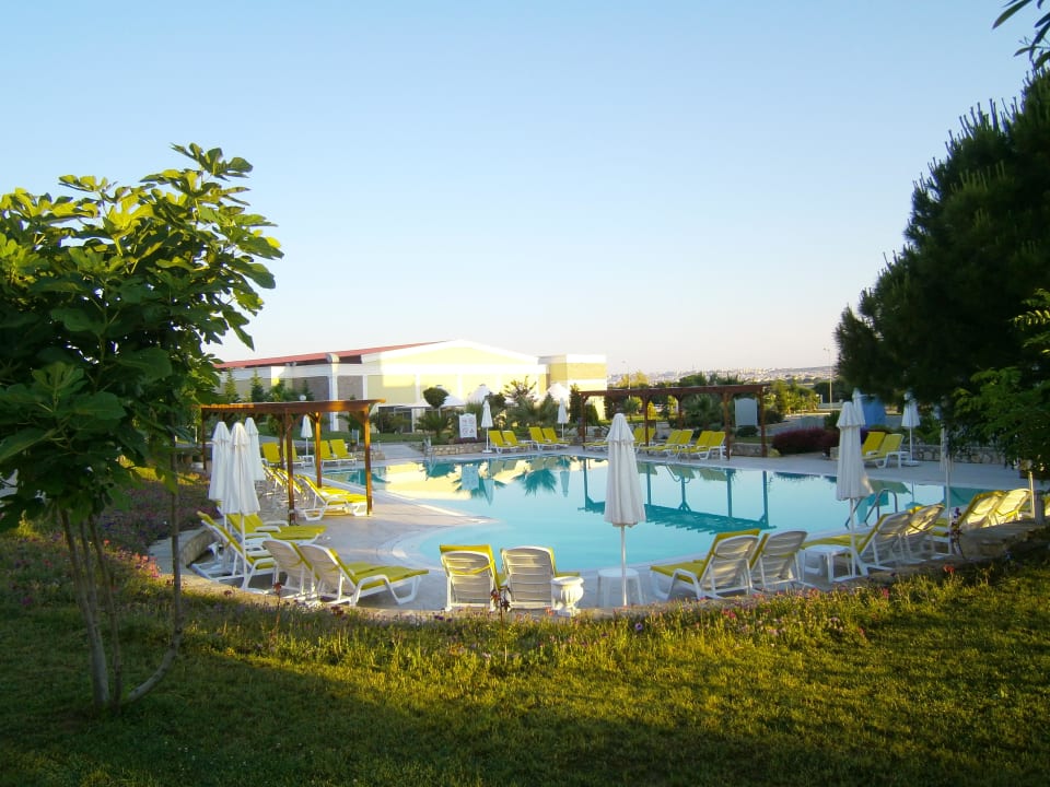Hotel Palm Wings Beach Resort Anadolu Hotels Didim Club