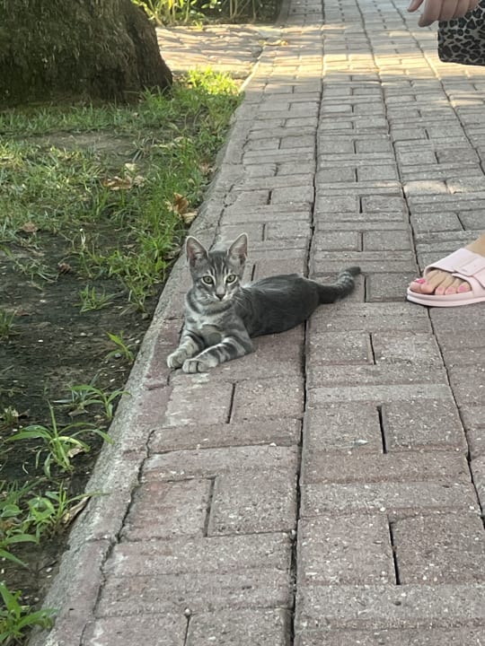 Gartenanlage VONRESORT Golden Beach