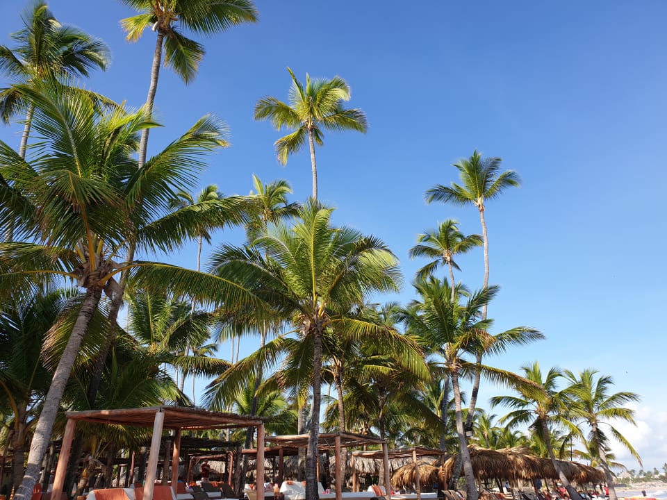 Strand Wyndham Alltra Punta Cana
