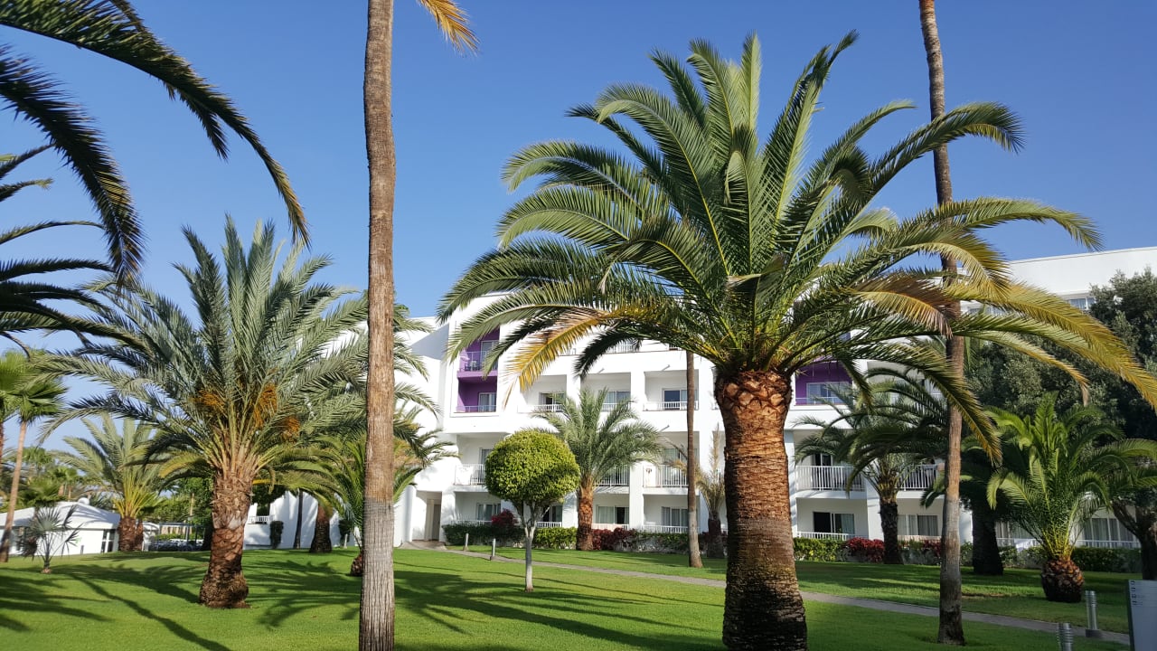 Gartenanlage Hotel Riu Gran Canaria