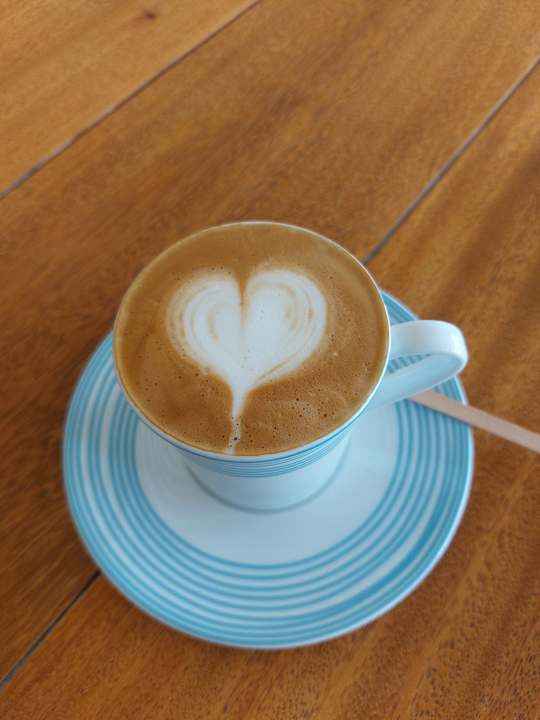 Gastro JAZ Elite Casa del Mar Beach