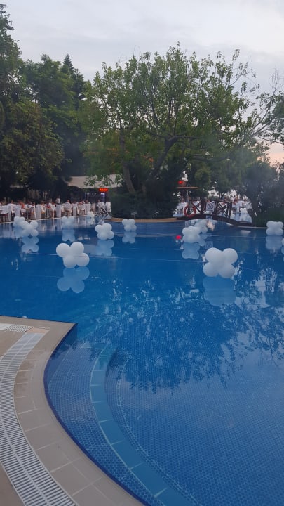 Pool Side Star Beach