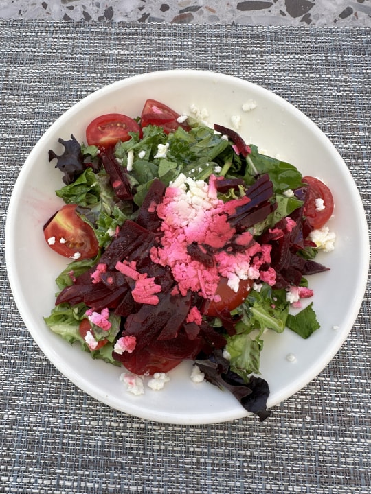 Gastro PALOMA Perissia