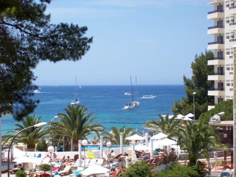 Aussicht Hotel Osiris