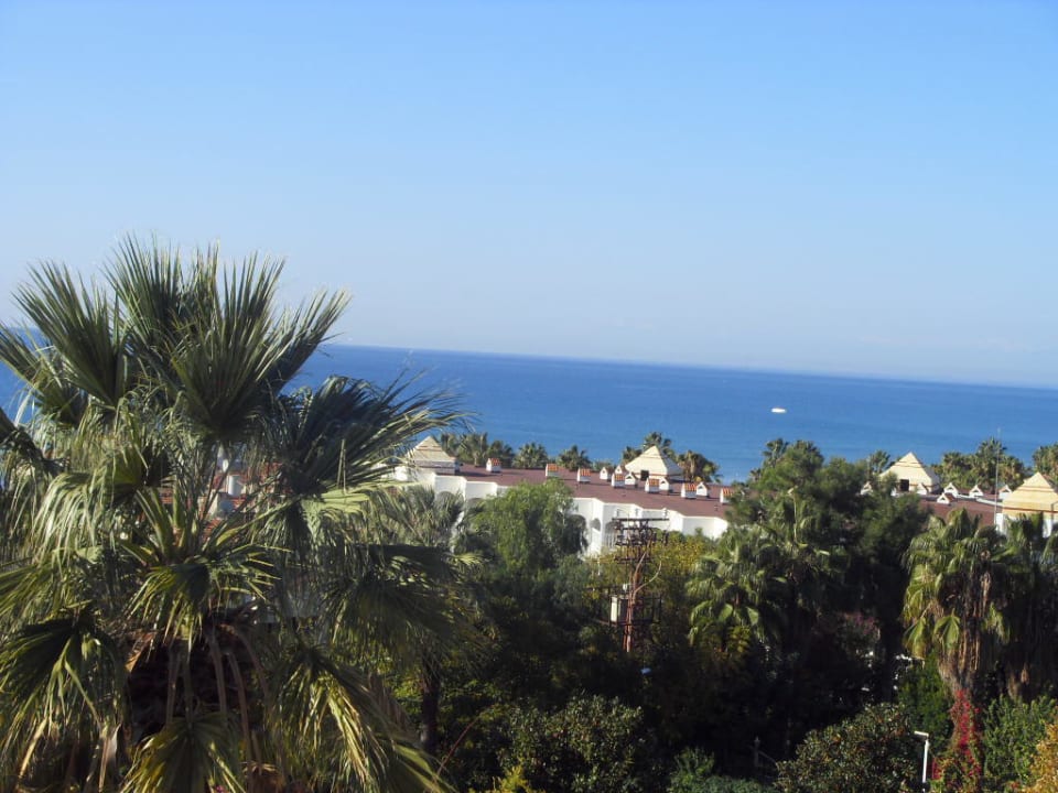 Ausblick Side Star Elegance