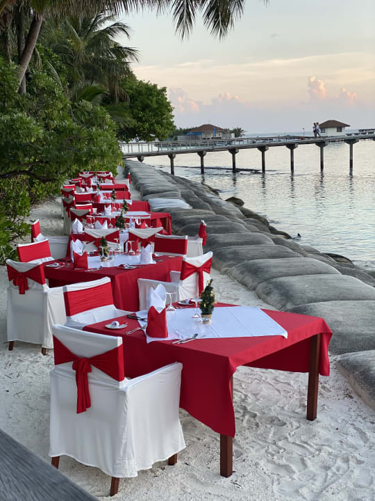 Gastro ROBINSON MALDIVES