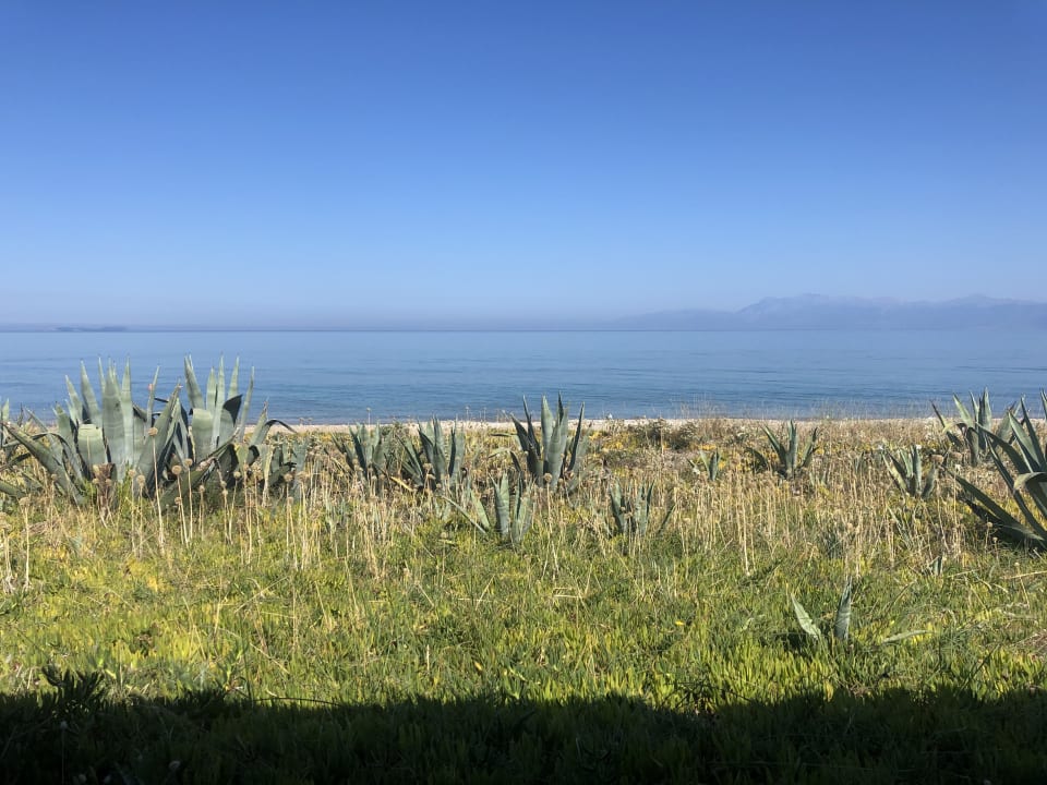 Ausblick St. George's Bay Country Club