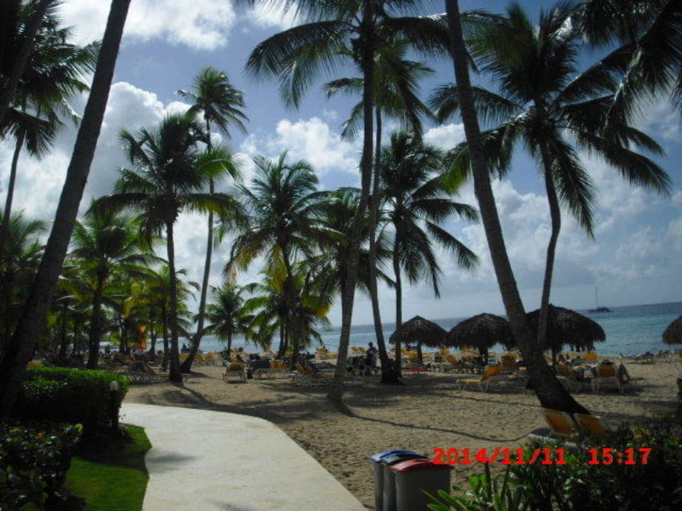 Weg zum Strand Hotel Viva Dominicus Palace by Wyndham-All Inclusive Resort