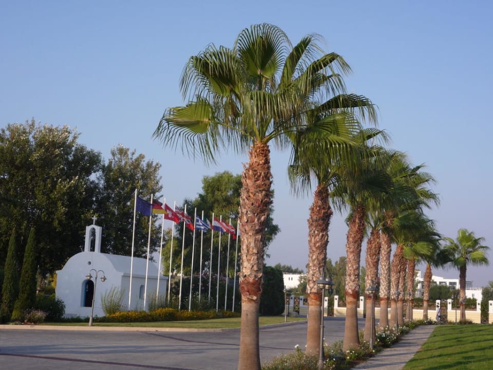 Einfahrt Neptune Luxury Resort