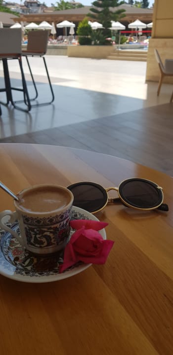 Gastro Sidemarin Kirman Premium