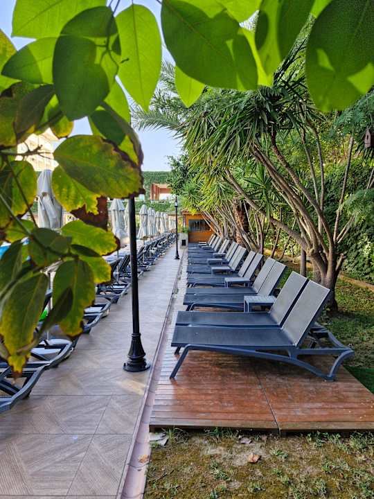 Gastro Telatiye Resort