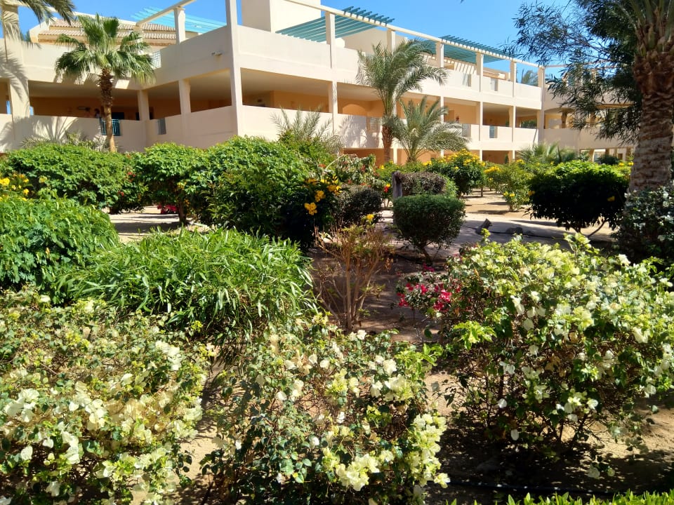 Außenansicht Mövenpick Resort & Spa El Gouna