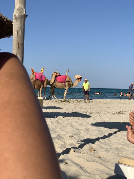 Strand TUI MAGIC LIFE Penelope Beach