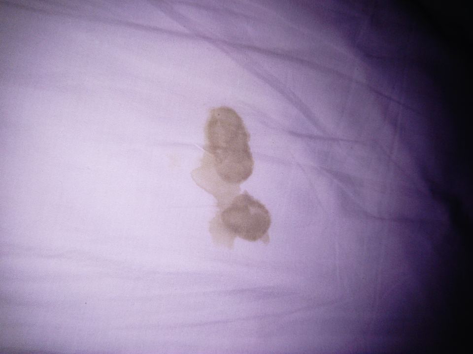 Zimmer Hotel Los Pinos