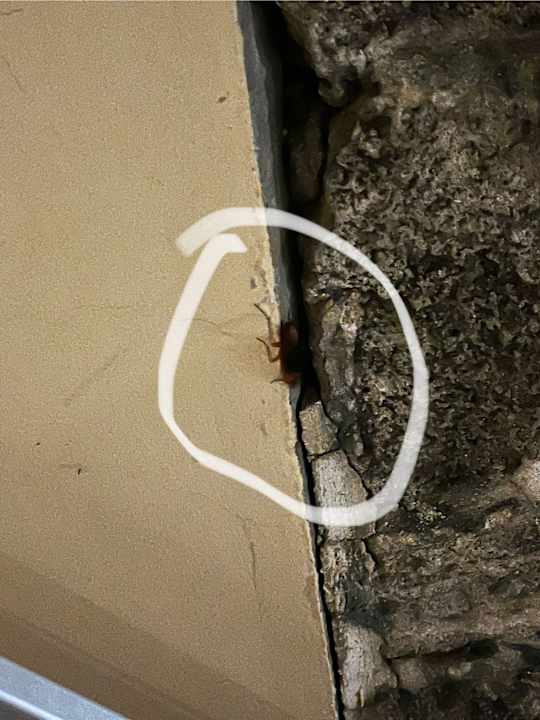 Zimmer Lindos Princess Beach Resort & Spa