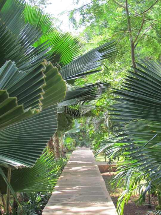 Wunderschöner tropischer Garten Hotel Karibuni Rafiki Beach Resort
