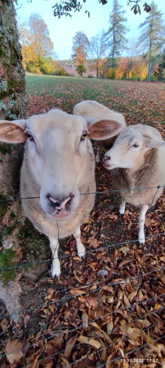 Ausblick Berghotel Hoher Knochen