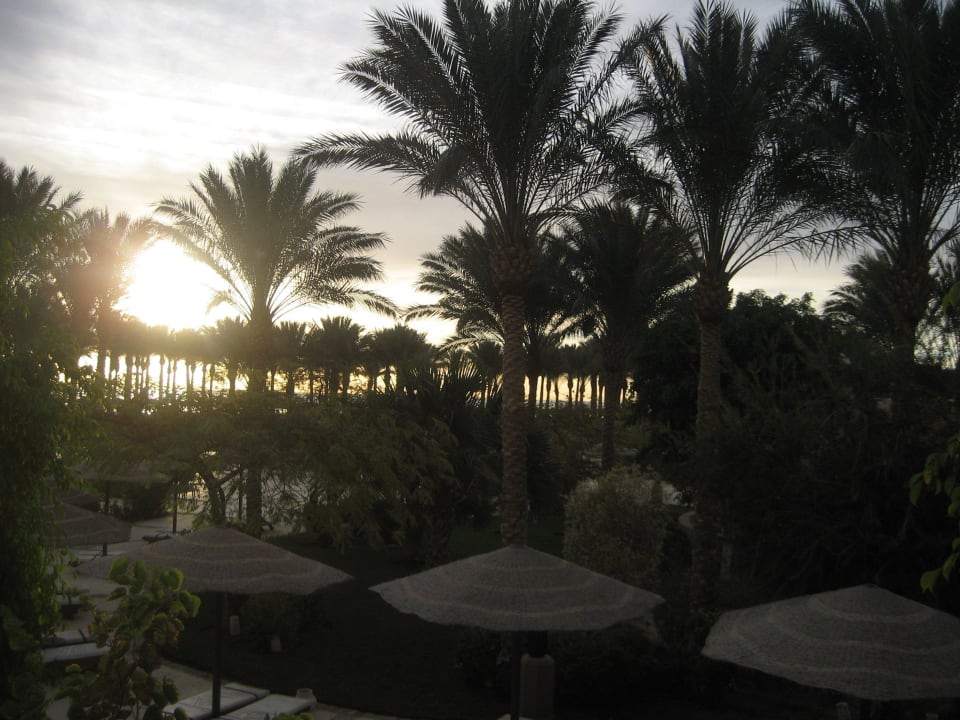 Ausblick vom Balkon Makadi Palace