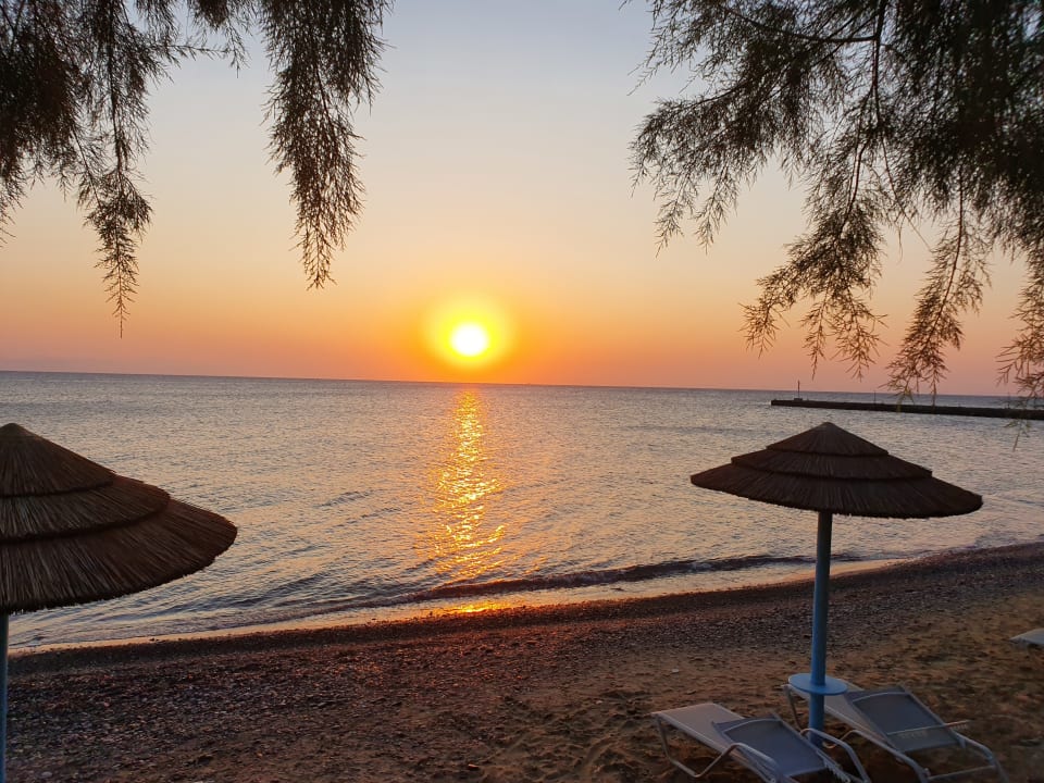 Ausblick TUI BLUE Oceanis Beach and Spa Resort