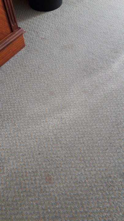 Sonstiges Relaxia Olivina