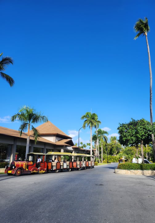 Gartenanlage Hotel Grand Palladium Palace Resort, Spa & Casino