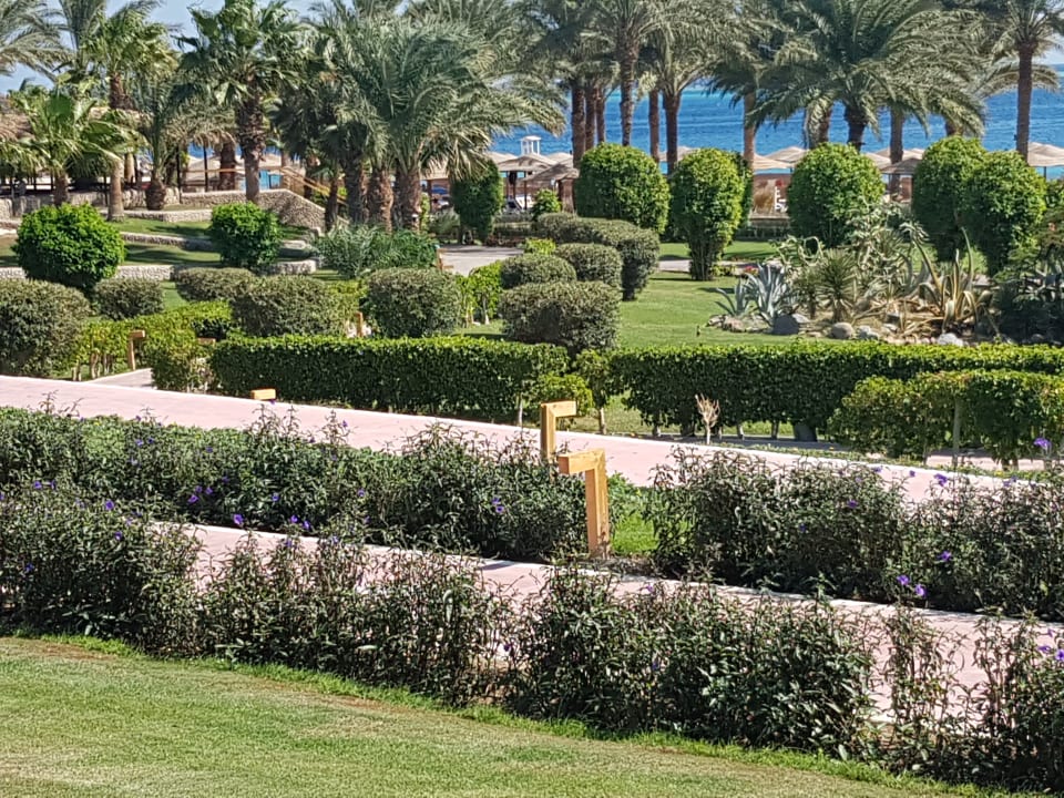 Außenansicht Fort Arabesque Resort, Spa & Villas