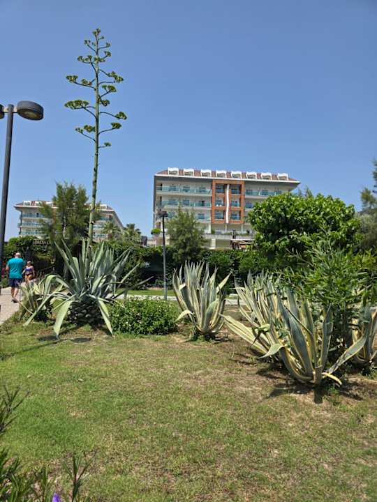 Sonstiges Side Sunport Hotel & Spa