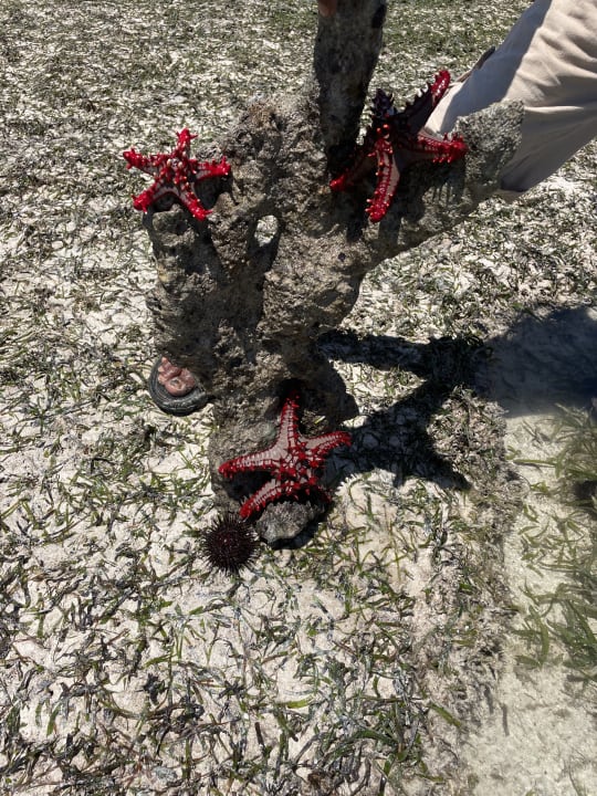 Strand Baobab Beach Resort & Spa