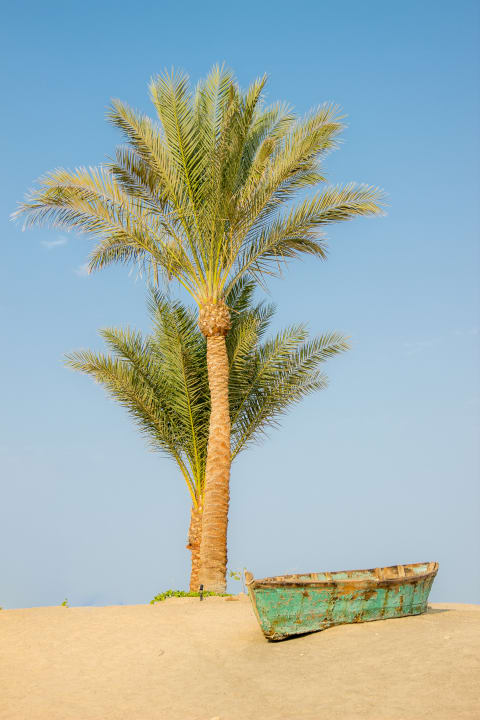 Sonstiges Steigenberger Coraya Beach - Adults only