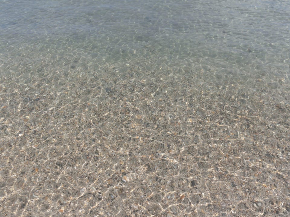 Ganz klares Wasser Hotel Albatros