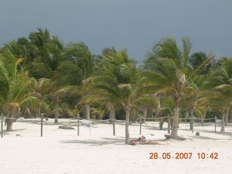 Hotel-Strand Akumal Bay Beach & Wellness Resort