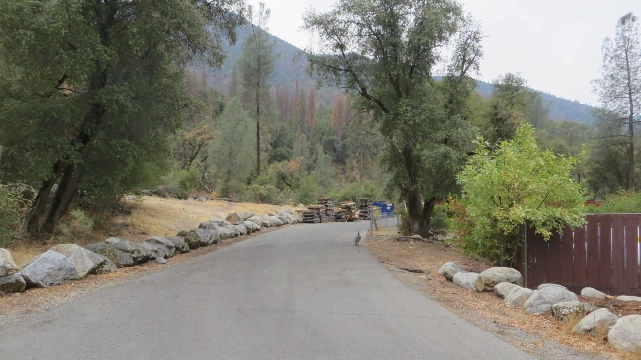 Selbsterklärend Hotel Yosemite View Lodge