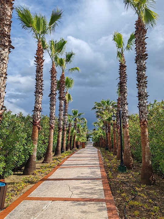Gartenanlage Alba Resort Hotel
