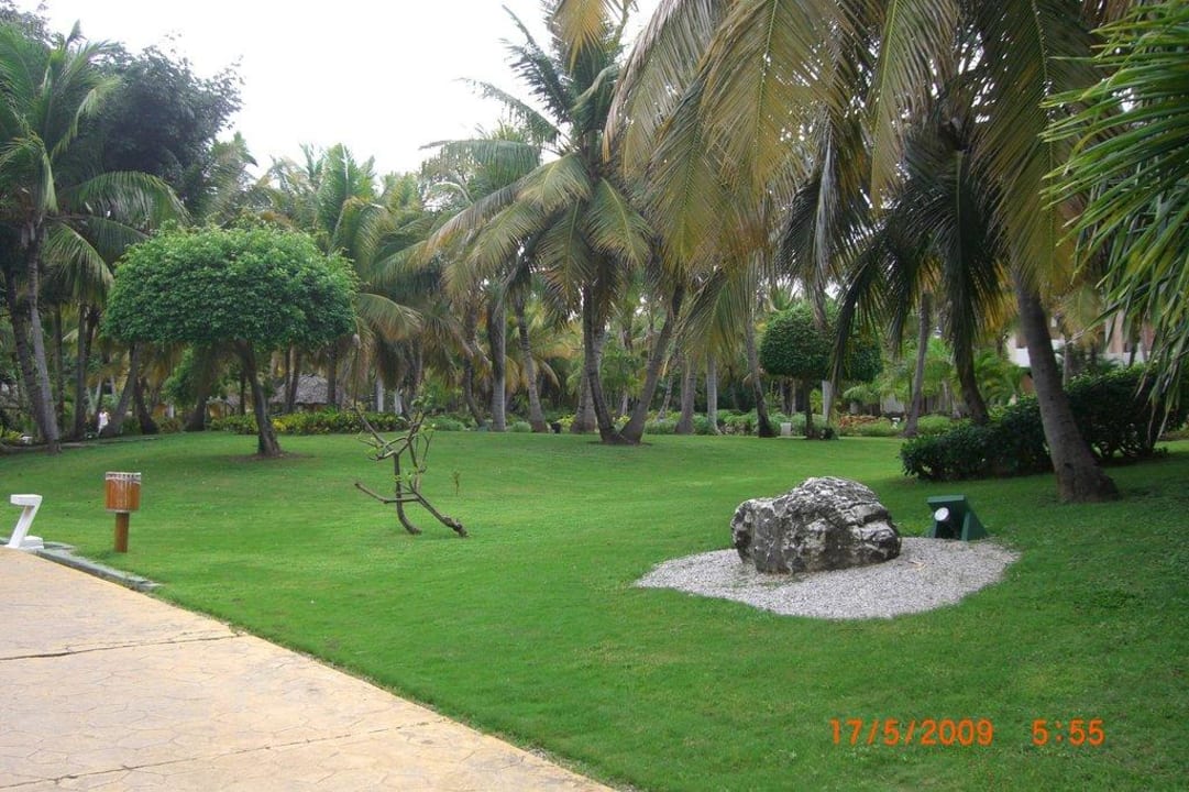Sehr gepflegt Catalonia Punta Cana - All Inclusive