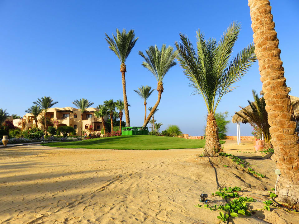 "lasst Bilder sprechen" Steigenberger Coraya Beach - Adults only