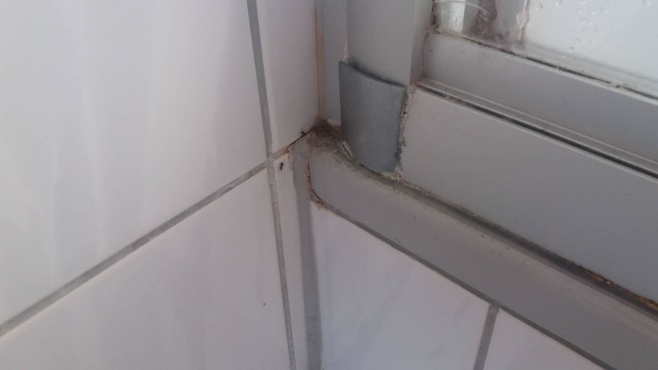 Ameisen und Spark Duschkabine Center Parcs Park Nordseeküste